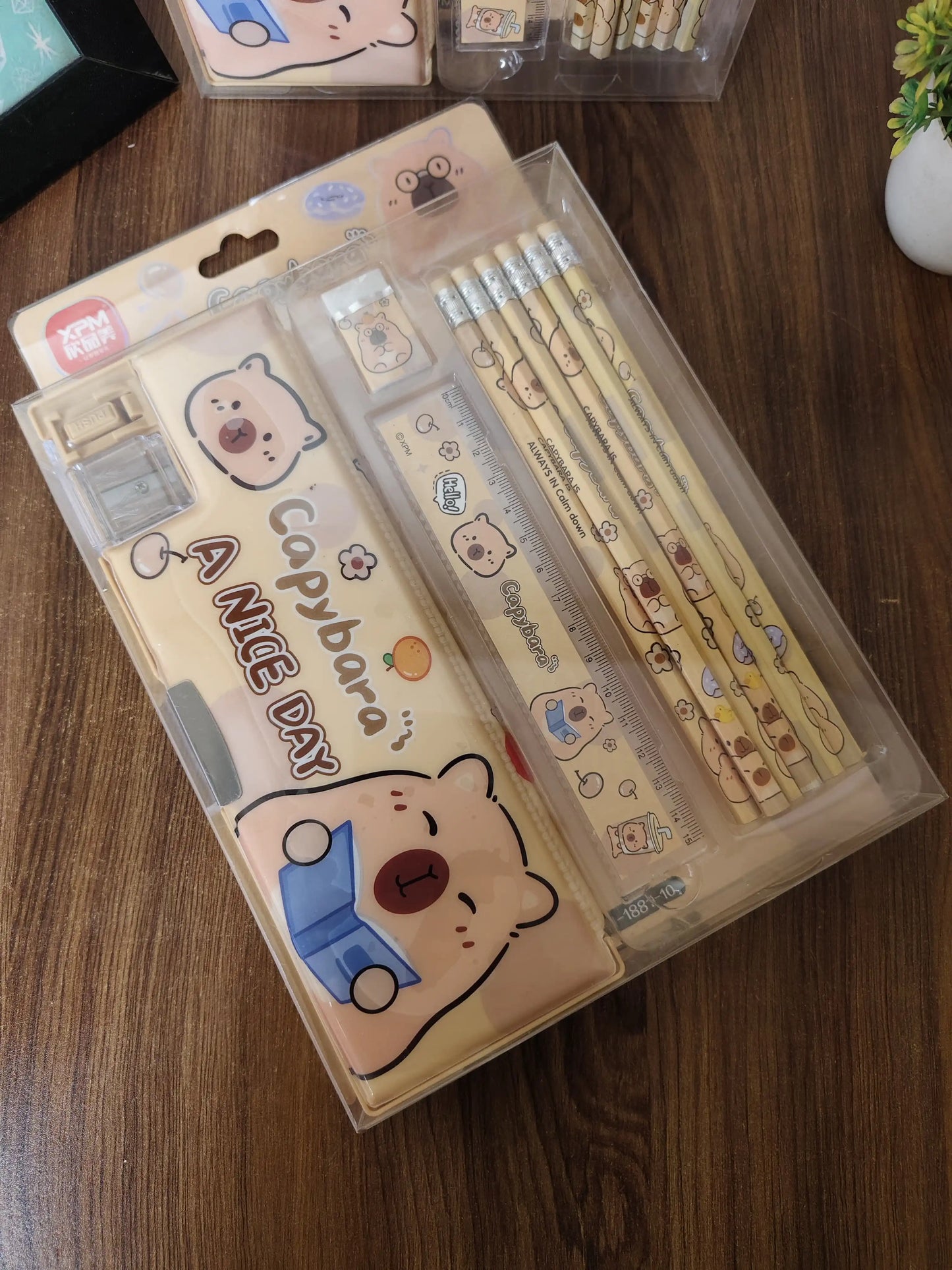 Cute Capybara Stationery Set | Complete Pencil Box Kit for Kids | Cartoon School Supplies Gift Set