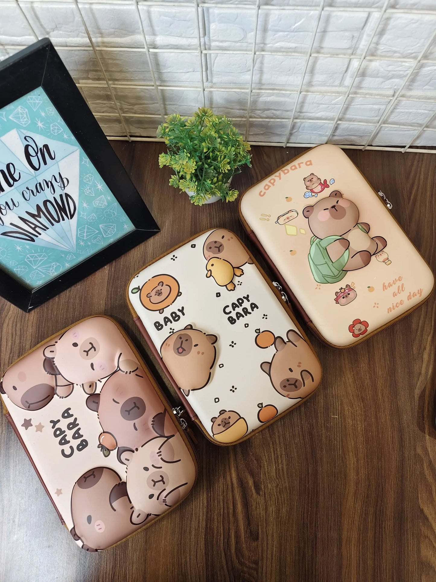 Capy bara smiggle/ Organizer