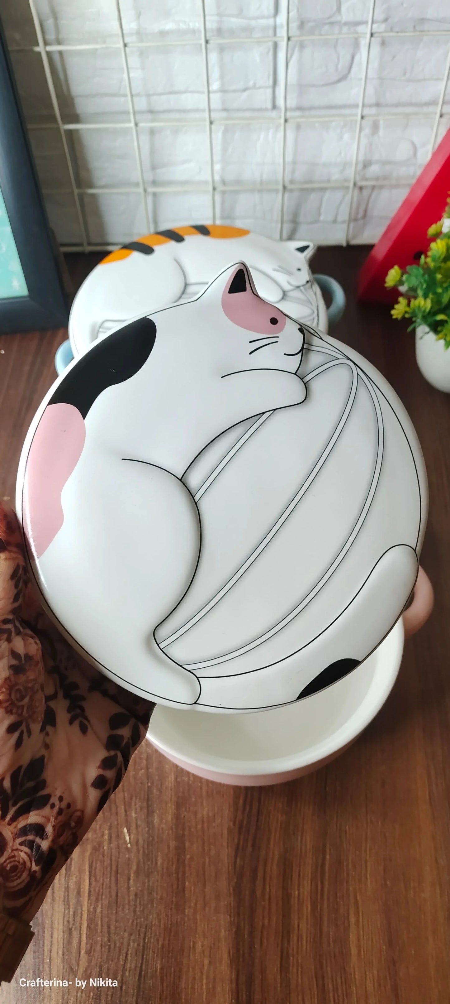 Ceramic noodles / soup bowl