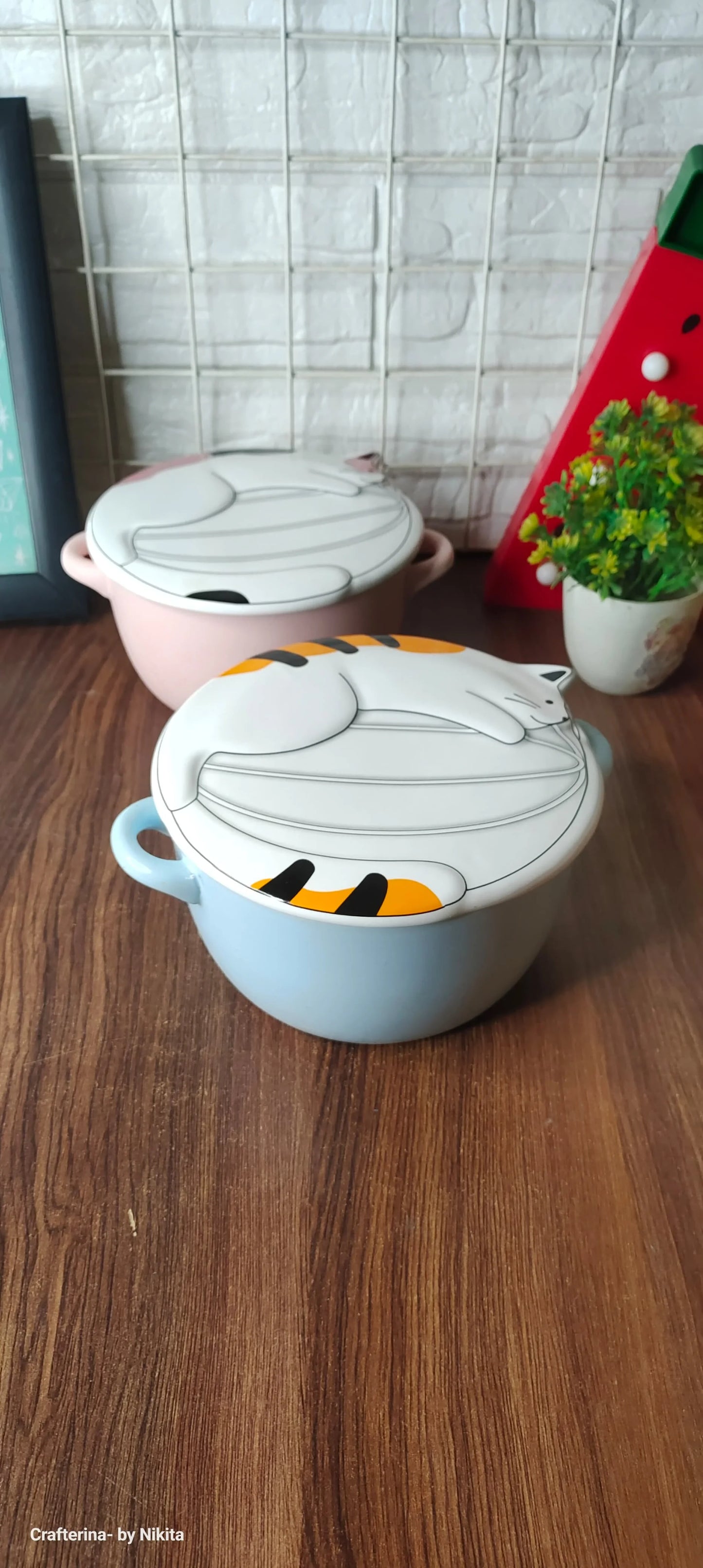 Ceramic noodles / soup bowl