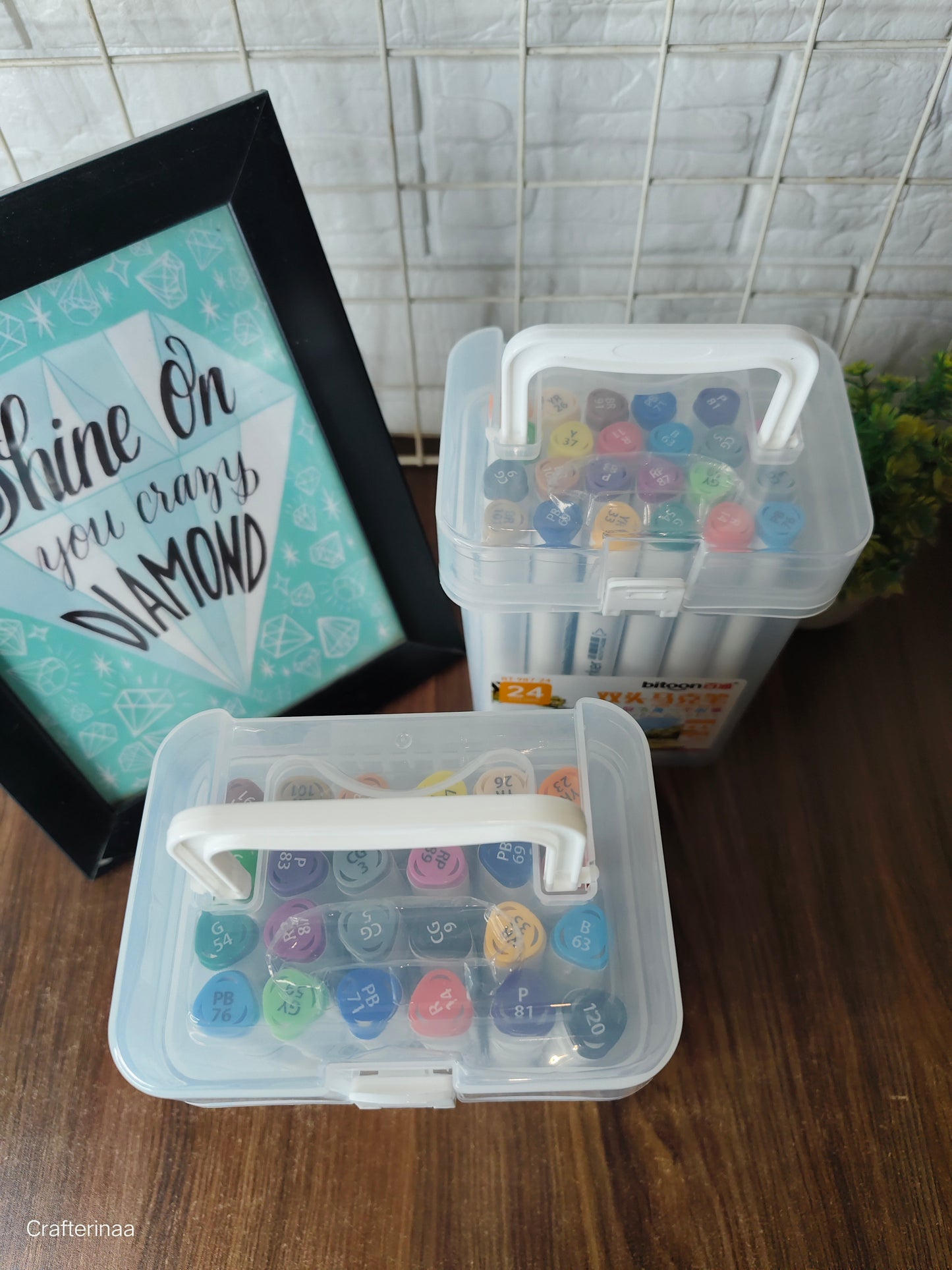 Bitoon twin brush markers 24 colours