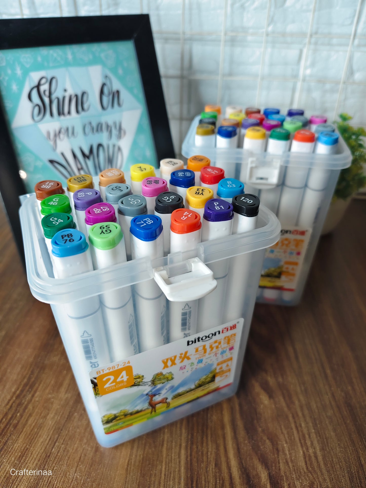 Bitoon twin brush markers 24 colours