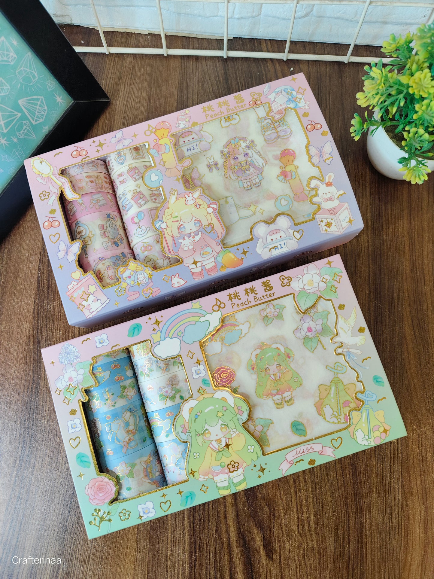 Kawaii Washi tapes with stickers combo