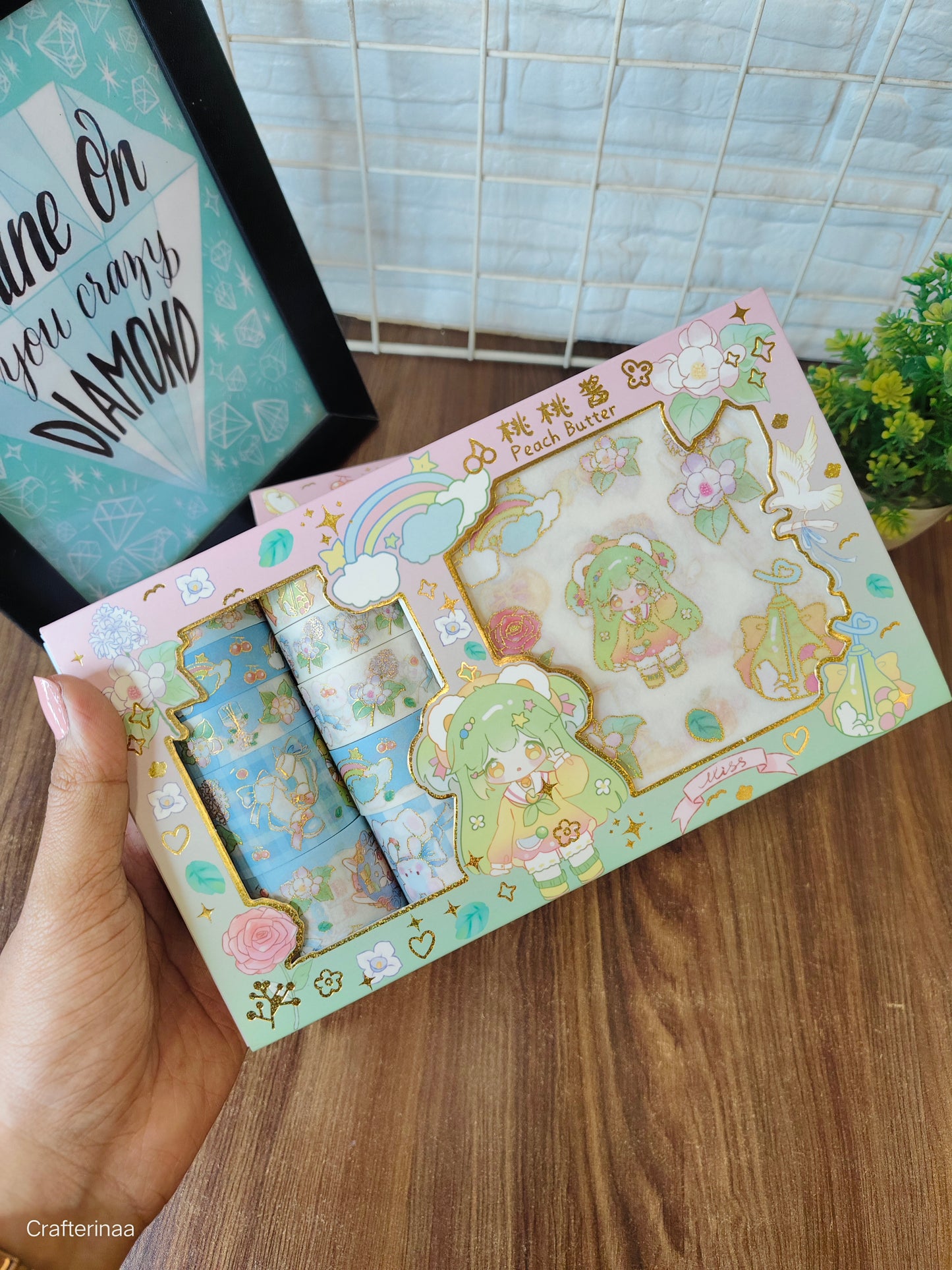 Kawaii Washi tapes with stickers combo
