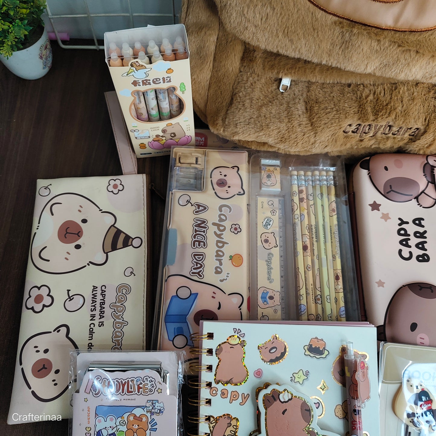 Capy bara