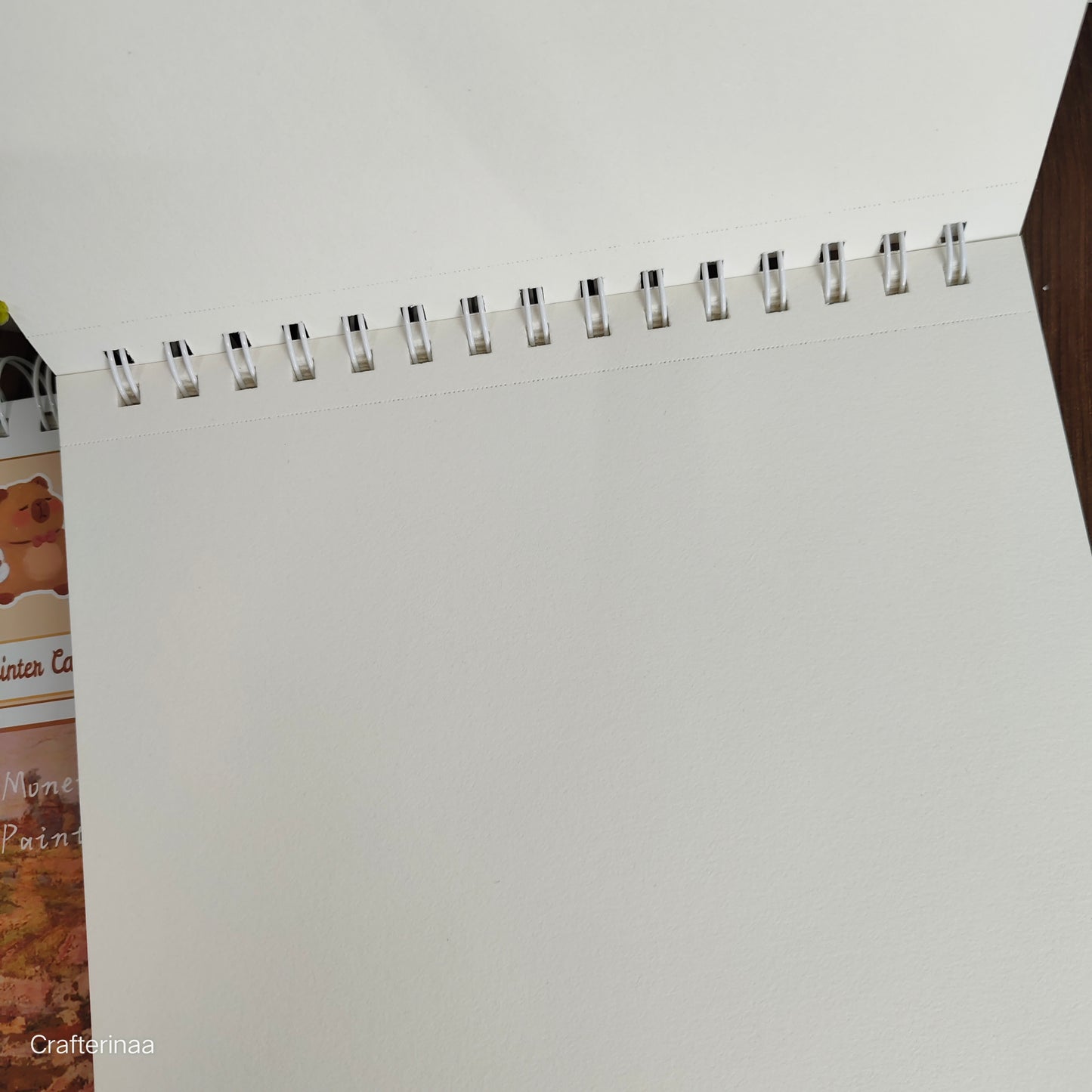 Sketching Book for Artists, A3 Thickened Sketchpad for Painting, Drawing,
