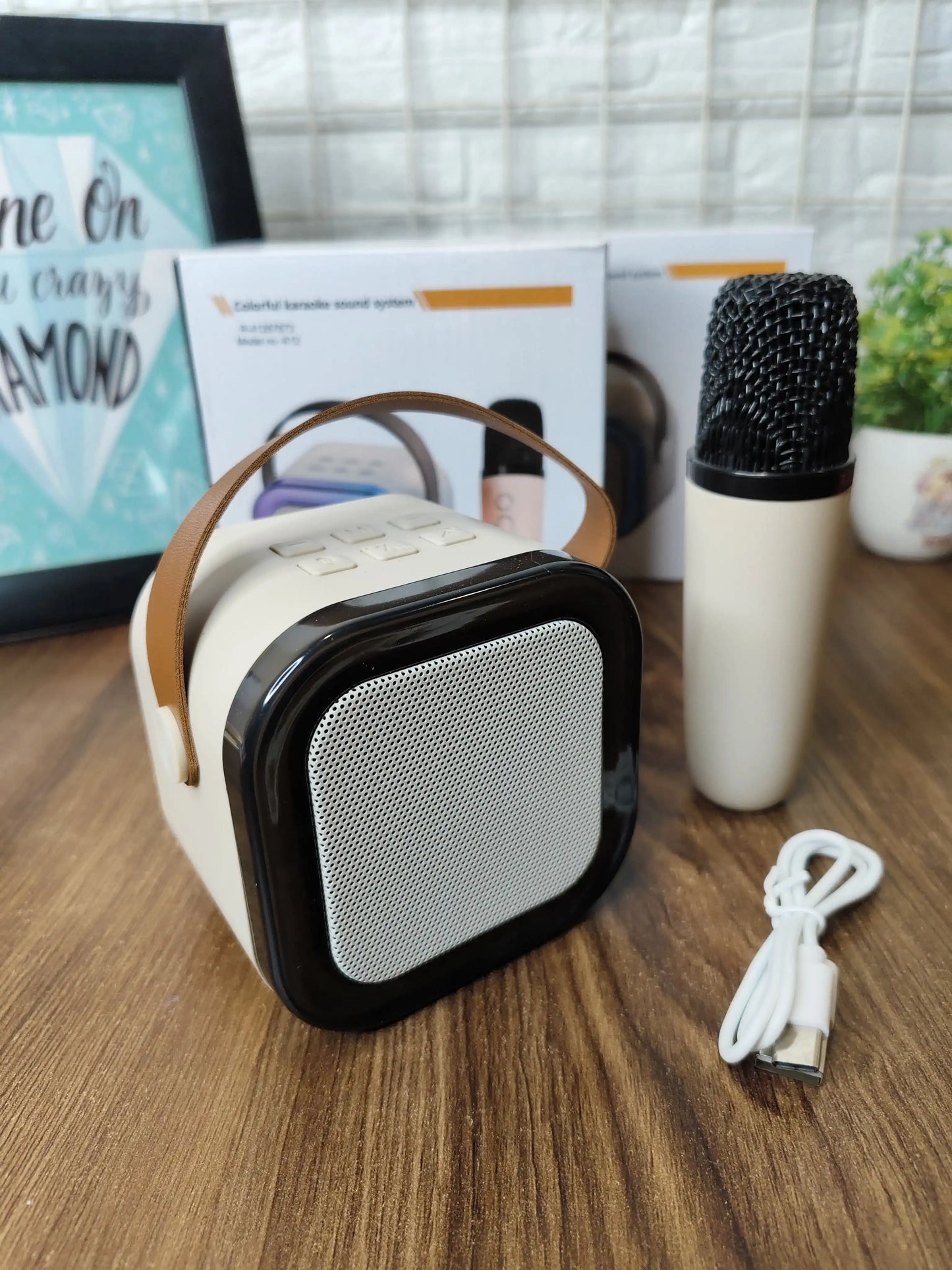 Wireless karaoke bluetooth speaker with mic