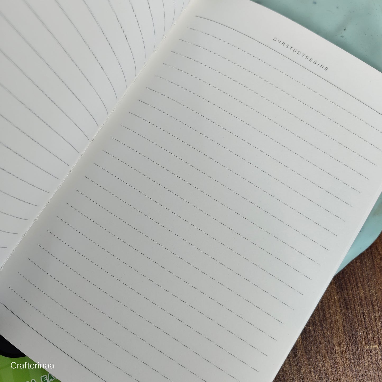 Cute panda Notebooks | panda diary ruled sheets