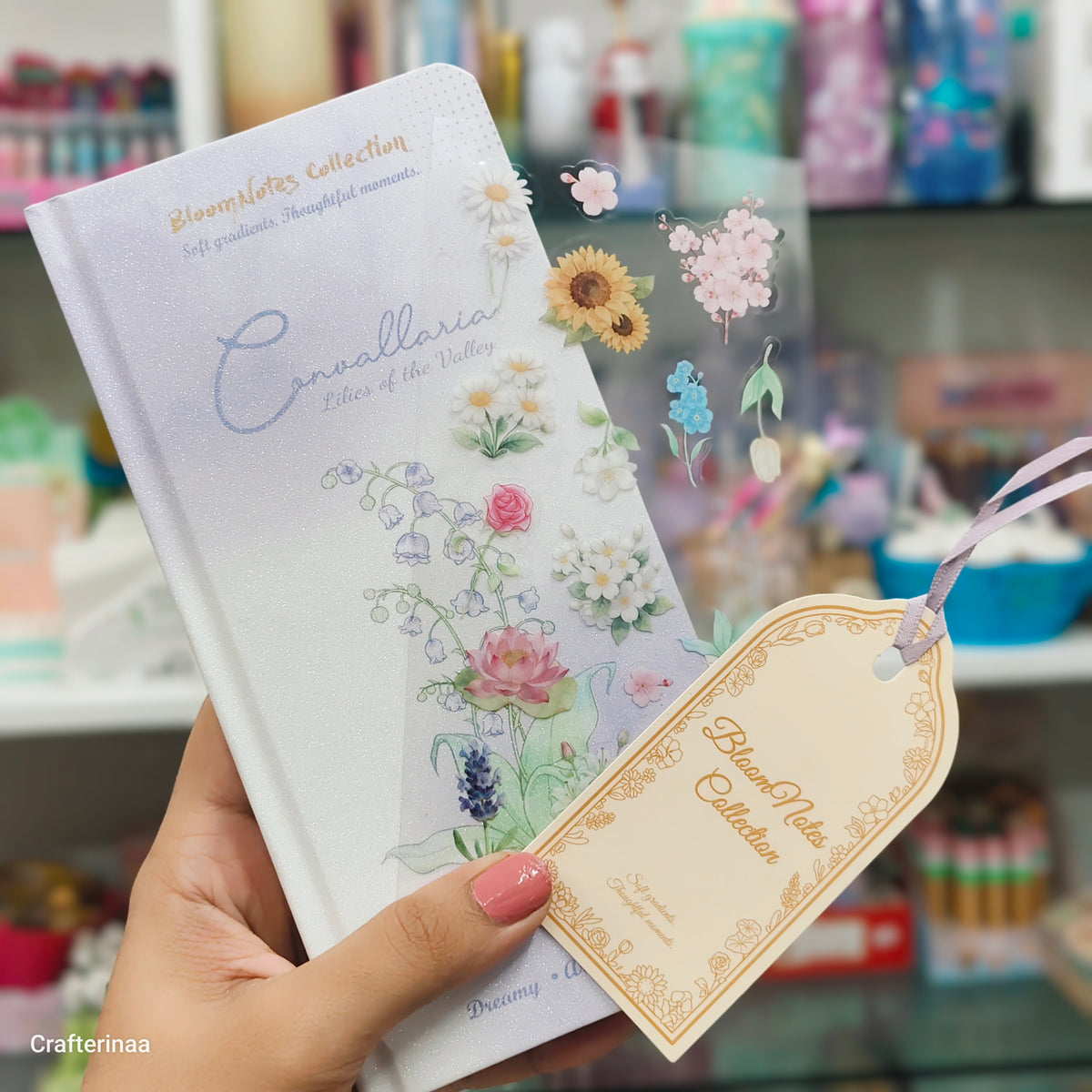 Aesthetic Guided Journal Diary with Mood Tracker, Gratitude & Reflection Pages | Cute Journal with Bookmark & Stickers